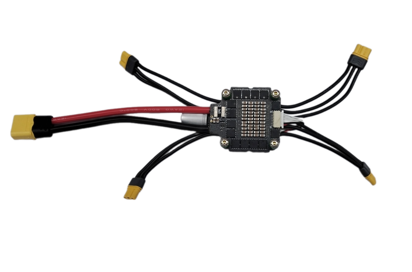 Remove bg.ai 1725959570103